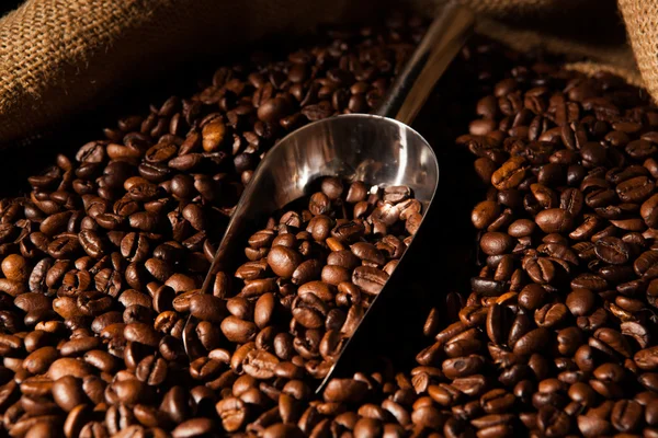 Granos de café tostados con cucharada —  Fotos de Stock