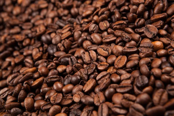 Grãos de café torrados fechar — Fotografia de Stock
