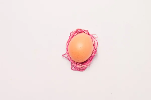 Um ovo em ninho de algodão — Fotografia de Stock