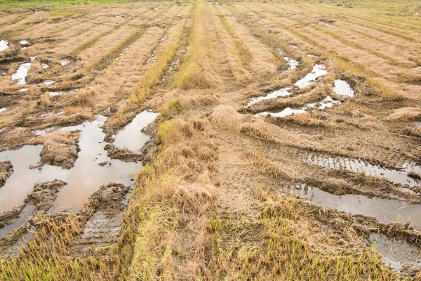 tekerlek parça alanında