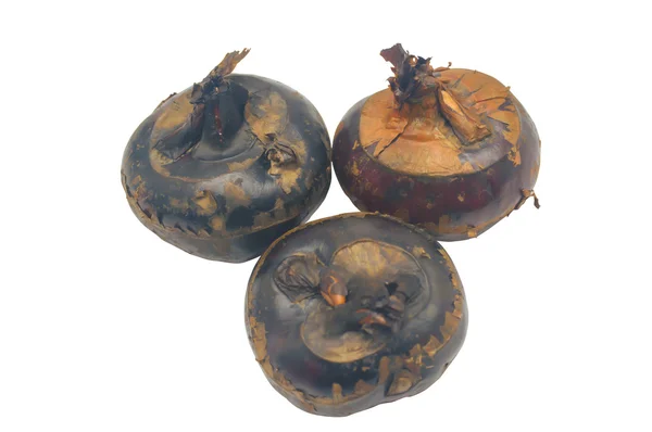 eleocharis dulcis beyaz izole et.