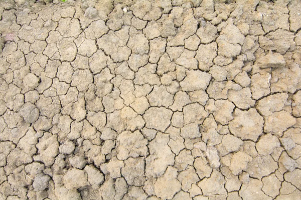 Tierra agrietada textura arte fondo . — Foto de Stock