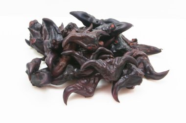 Beyaz arka planda kestane