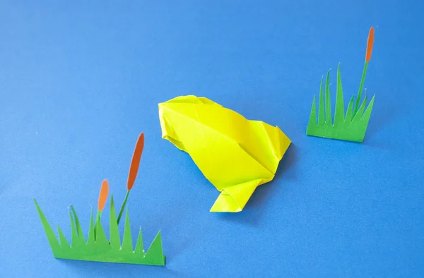 Kurbağa kağıt mavi bir arka plan üzerinde