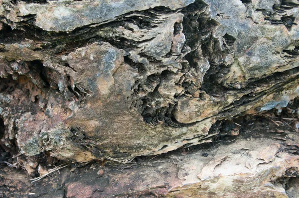 Textura da madeira de prancha — Fotografia de Stock