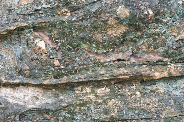 Yakın up veya makro bir rock yüz