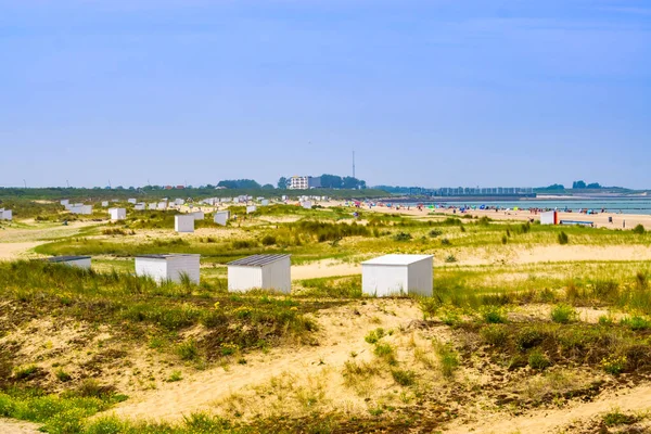 Belles Dunes Sable Hollandaises Breskens Avec Chalets Vue Sur Plage — Photo