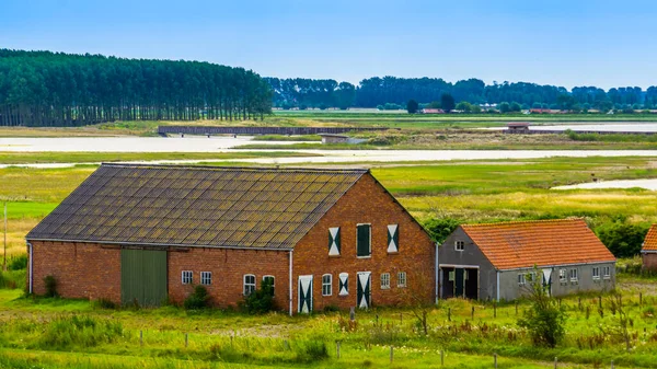 Tanyaépítés Breskens Partján Zeeland Hollandia — Stock Fotó