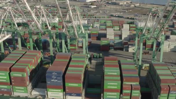 Drönare Flygfoto Ett Stort Multimodalt Containerfartyg Dockat Hamnen Long Beach — Stockvideo