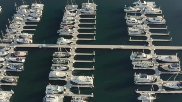 ロングビーチ近くのマリーナに停泊している豪華なボートやヨットの空中 ドローンビューカリフォルニア — ストック動画