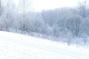 Açık güneşli bir günde, karla kaplı ağaçlarla kaplı park, kış manzarası. Beyaz, pastel renkli.