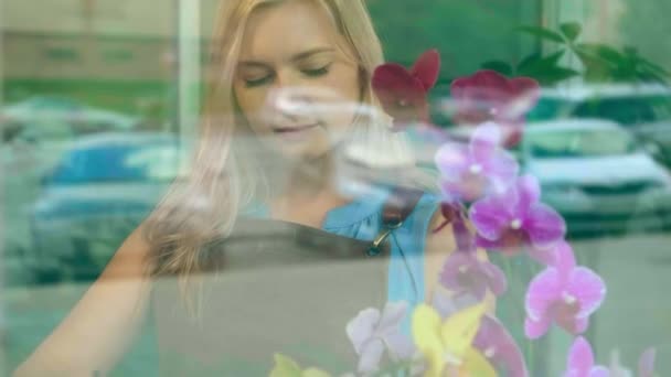 Flower shop window against lady by dark pink home orchids — Stock Footage Flower shop window against lady by dark pink home orchids Video Clip