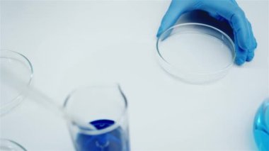 Araştırma laboratuarı. Mavi eldivenli eller. Mavi bir sıvı ile cam petri kabı. Cam laboratuvar damlası. Araştırma laboratuarı. Kozmetik ve parfüm üretimi.
