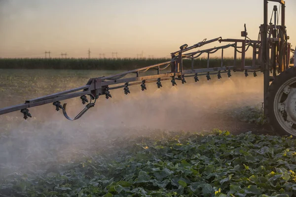 Tractor Pulverización Pesticidas Campo Vegetal Con Pulverizador Verano —  Fotos de Stock