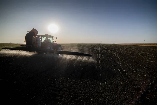 Tracteur Pulvérisation Pesticides Sur Terrain Avec Pulvérisateur Colza Oléagineux Engrais — Photo