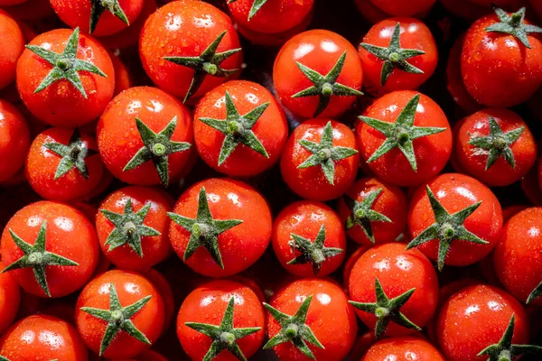 Frescos Jugosos Completamente Maduros Hermosos Tomates Rojos Cereza —  Fotos de Stock
