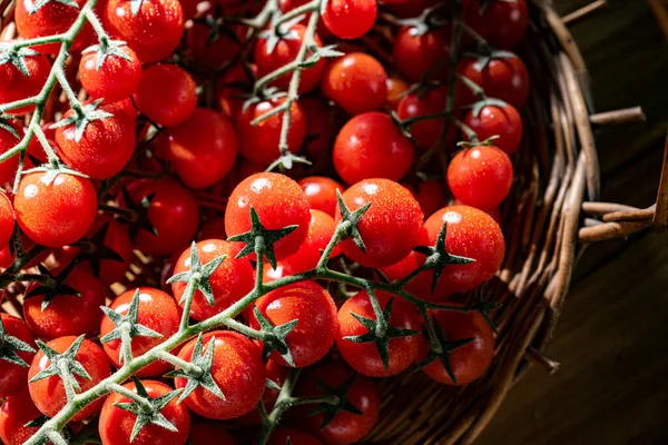 Segar Berair Matang Sepenuhnya Tomat Ceri Merah Yang Indah — Stok Foto