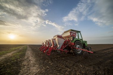 Traktör tohumu olan çiftçi - ilkbaharda tarım tarlalarına ekin ekiyor.