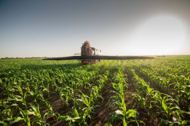 Traktör tarlada böcek ilacı kimyasallarıyla gübreleme yapıyor. 