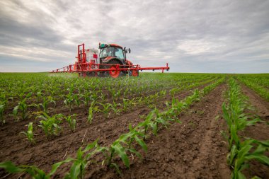 Traktör tarlada böcek ilacı kimyasallarıyla gübreleme yapıyor. 