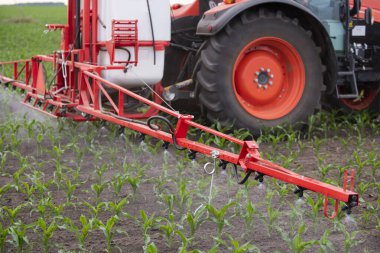 Traktör tarlada böcek ilacı kimyasallarıyla gübreleme yapıyor. 