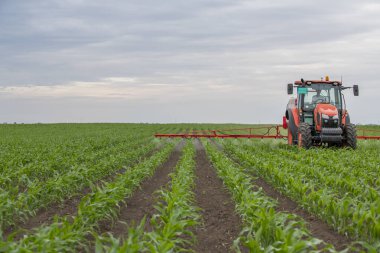 Traktör tarlada böcek ilacı kimyasallarıyla gübreleme yapıyor. 