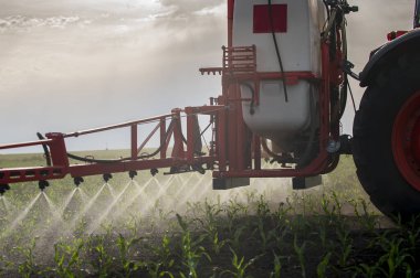 Traktör tarlada böcek ilacı kimyasallarıyla gübreleme yapıyor. 
