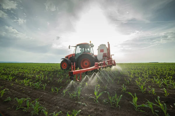 Тракторный Аэрозоль Удобряет Поле Инсектицидом Гербицидов Химикатами Сельском Хозяйстве — стоковое фото