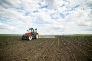 Fasulye tarlalarına böcek ilacı püskürten traktör.
