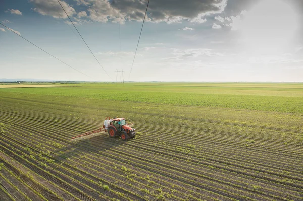 Pulvérisation Pesticides Par Tracteur Dans Les Champs Soja — Photo