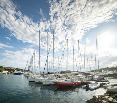 Adriyatik marinası balıkçı tekneleri, yelkenlileri ve lüks yatlarla dolu olan Istrian yarımadasındaki bir sahil kasabasının limanı. Hırvatistan 'ın Istria yarımadasındaki Vrsar kasabası 