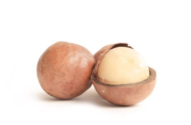 Beyaz arka planda Macadamia cevizi.