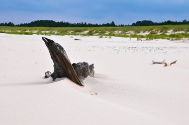 Polonya 'da Baltık Denizi' ndeki sahil manzarası