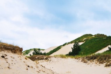 Polonya 'da Baltık Denizi' ndeki sahil manzarası