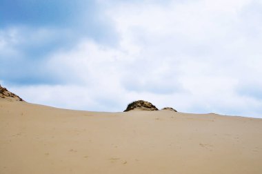 Polonya 'da Baltık Denizi' ndeki sahil manzarası