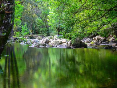 Portekiz 'de bir ormanda sakin ve şeffaf bir su.