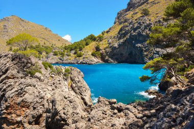 İspanya 'daki Palma de Mallorca adasının güzel manzarası