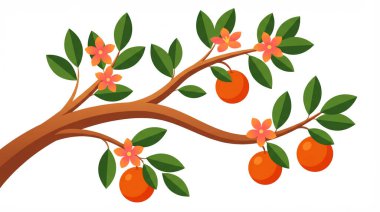 Portakal ve çiçekli bir portakal ağacı resmi