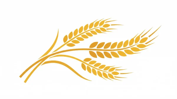 Altın buğday kulaklı logosu.