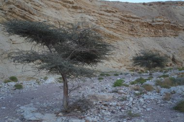 Ein Netafim, Israel, twilight