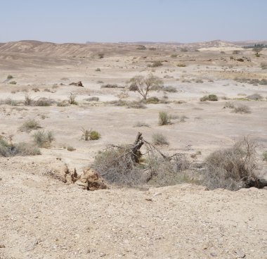 Arava çöl, Güney İsrail