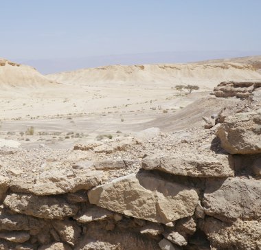 Arava çöl, Güney İsrail
