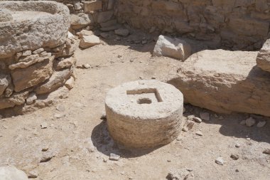 Antik zeytin basın, Moa