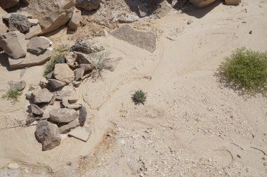 Arava çöl, Güney İsrail