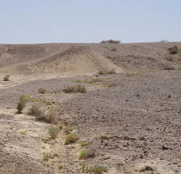 Arava woestijn, Zuid-Israël — Stockfoto
