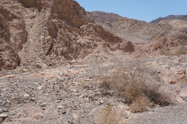 Wadi Shahamon, İsrail