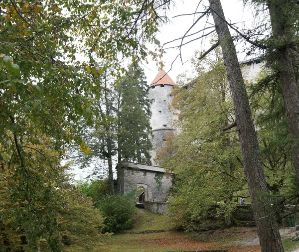 Bled castle tornet, Slovenien — Stockfoto