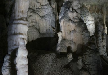 Postojna mağara, Slovenya