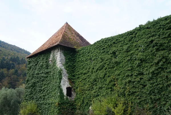 Руїни Soteska замку, Словенія — стокове фото