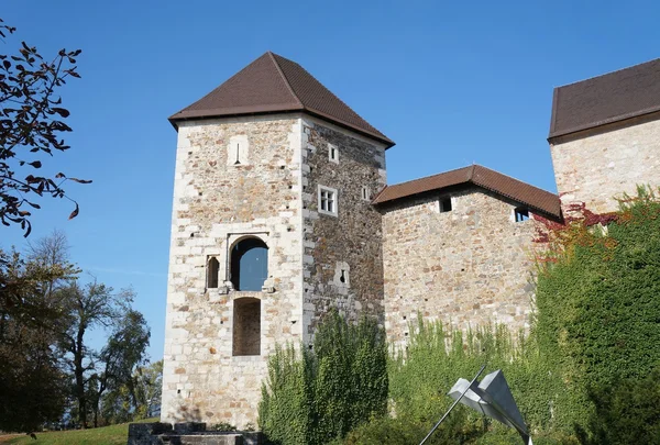 Ljubljanas slott — Stockfoto